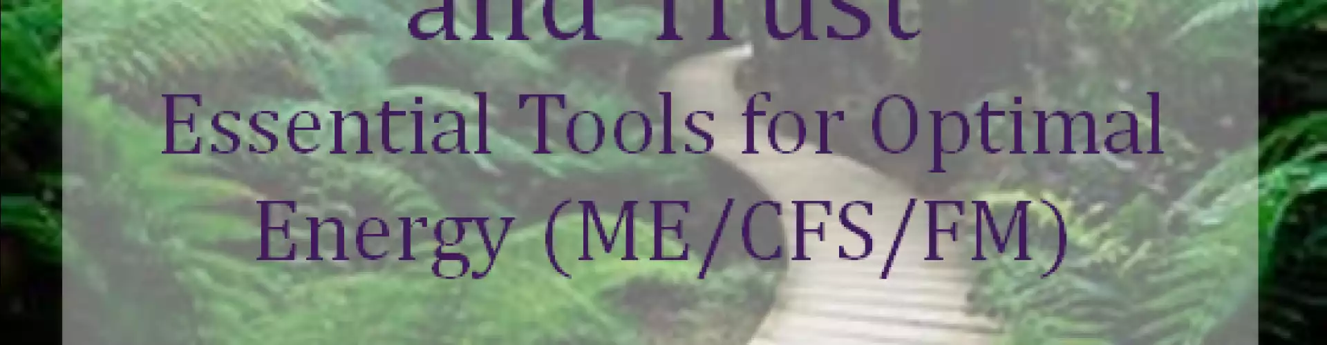 Acceptance, Hope and Trust: Essential tools for optimal energy (ME/CFS/FM)