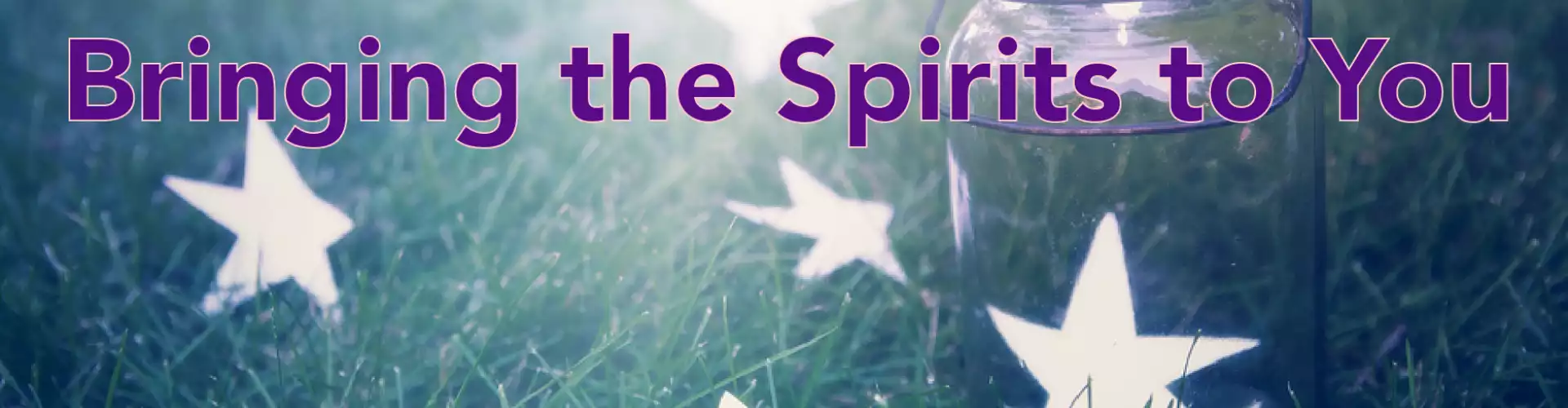 Life With Spirit Series - Bringing Spirits to You