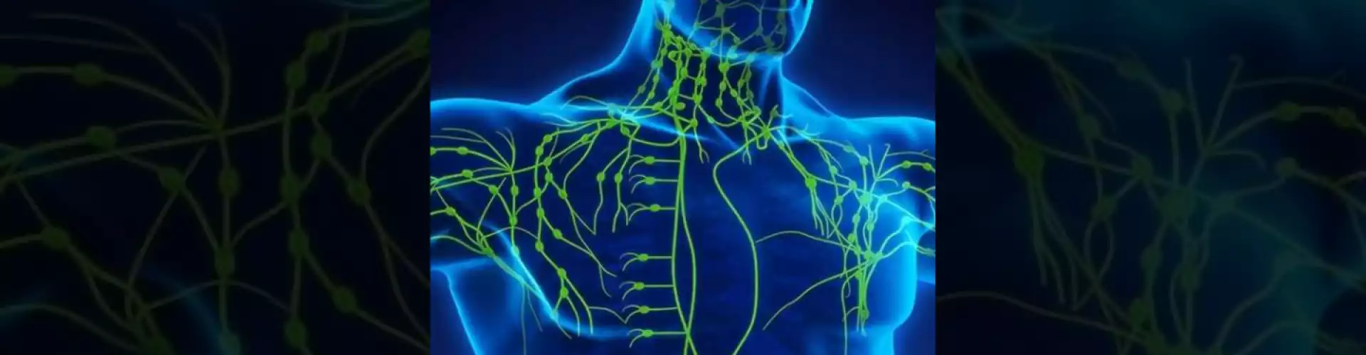 The Lymphatic System is vital to your Health so How can you Help it?